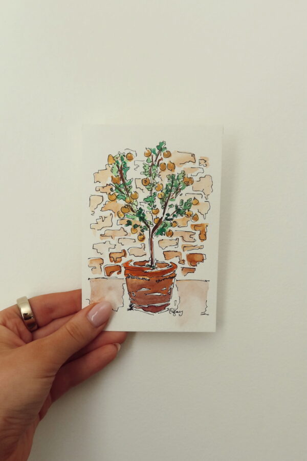 Lemon Tree